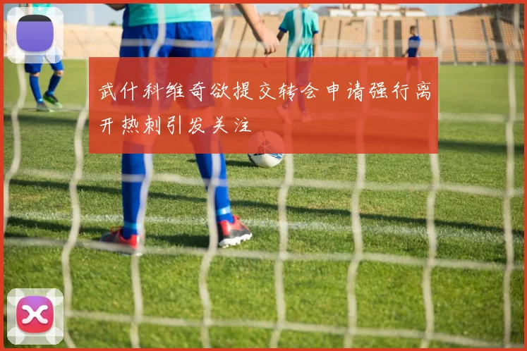 武什科维奇欲提交转会申请强行离开热刺引发关注